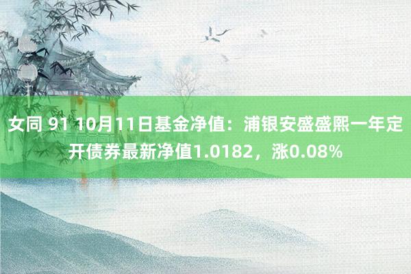女同 91 10月11日基金净值：浦银安盛盛熙一年定开债券最新净值1.0182，涨0.08%