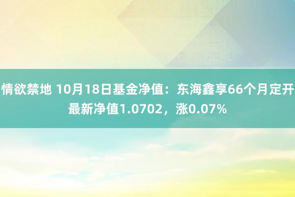 情欲禁地 10月18日基金净值：东海鑫享66个月定开最新净值1.0702，涨0.07%