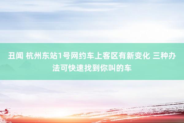 丑闻 杭州东站1号网约车上客区有新变化 三种办法可快速找到你叫的车