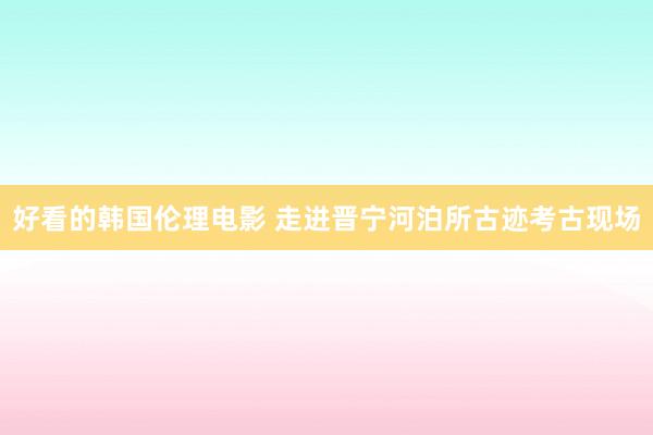好看的韩国伦理电影 走进晋宁河泊所古迹考古现场