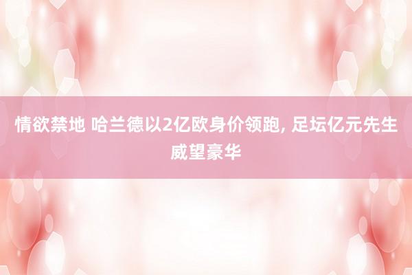 情欲禁地 哈兰德以2亿欧身价领跑, 足坛亿元先生威望豪华