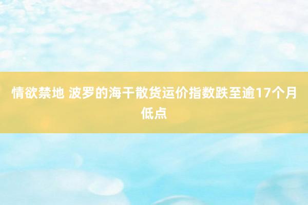 情欲禁地 波罗的海干散货运价指数跌至逾17个月低点