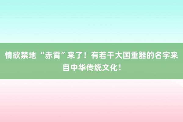 情欲禁地 “赤霄”来了！有若干大国重器的名字来自中华传统文化！