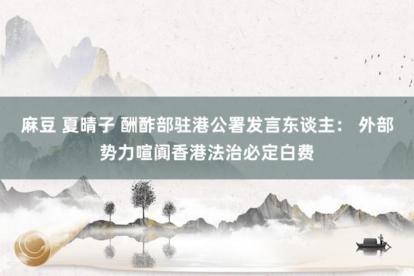 麻豆 夏晴子 酬酢部驻港公署发言东谈主： 外部势力喧阗香港法治必定白费