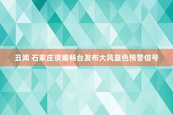 丑闻 石家庄谀媚畅台发布大风蓝色预警信号