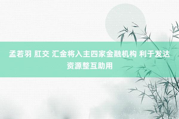 孟若羽 肛交 汇金将入主四家金融机构 利于发达资源整互助用