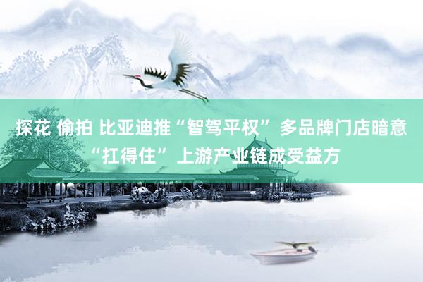 探花 偷拍 比亚迪推“智驾平权” 多品牌门店暗意 “扛得住” 上游产业链成受益方