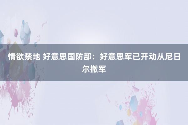 情欲禁地 好意思国防部：好意思军已开动从尼日尔撤军