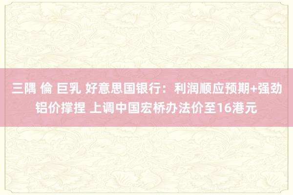 三隅 倫 巨乳 好意思国银行：利润顺应预期+强劲铝价撑捏 上调中国宏桥办法价至16港元