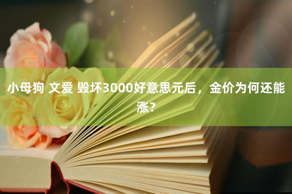 小母狗 文爱 毁坏3000好意思元后，金价为何还能涨？