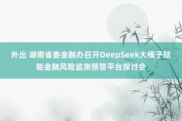 外出 湖南省委金融办召开DeepSeek大模子赋能金融风险监测预警平台探讨会