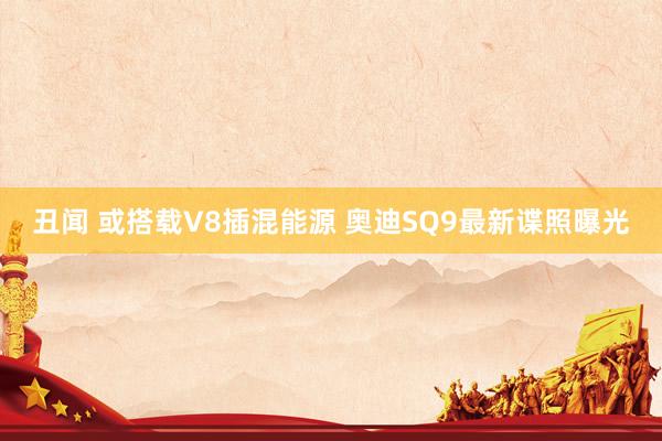 丑闻 或搭载V8插混能源 奥迪SQ9最新谍照曝光