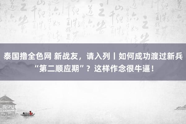 泰国撸全色网 新战友，请入列丨如何成功渡过新兵“第二顺应期”？这样作念很牛逼！
