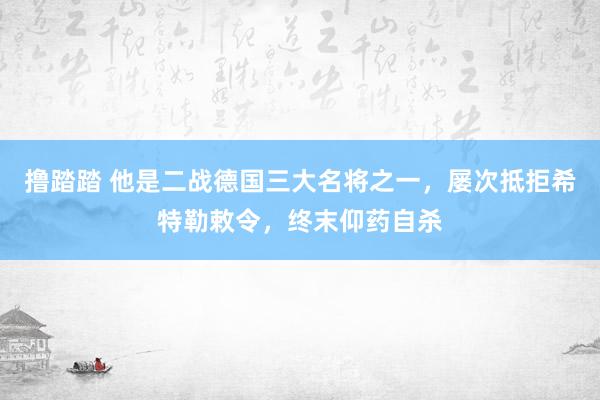 撸踏踏 他是二战德国三大名将之一，屡次抵拒希特勒敕令，终末仰药自杀