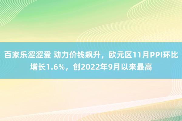 百家乐涩涩爱 动力价钱飙升，欧元区11月PPI环比增长1.6%，创2022年9月以来最高