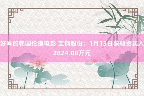 好看的韩国伦理电影 宝钢股份：1月13日获融资买入2824.08万元