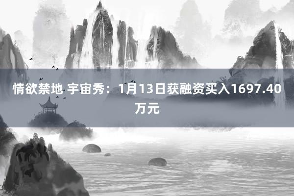 情欲禁地 宇宙秀：1月13日获融资买入1697.40万元