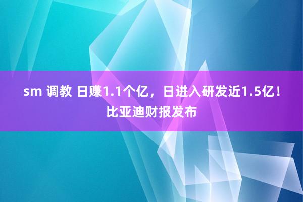 sm 调教 日赚1.1个亿，日进入研发近1.5亿！比亚迪财报发布
