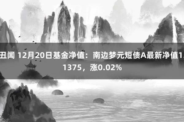丑闻 12月20日基金净值：南边梦元短债A最新净值1.1375，涨0.02%