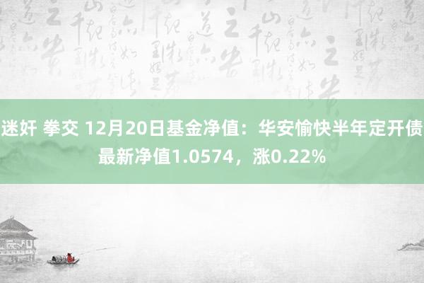 迷奸 拳交 12月20日基金净值：华安愉快半年定开债最新净值1.0574，涨0.22%