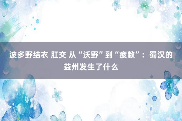 波多野结衣 肛交 从“沃野”到“疲敝”：蜀汉的益州发生了什么