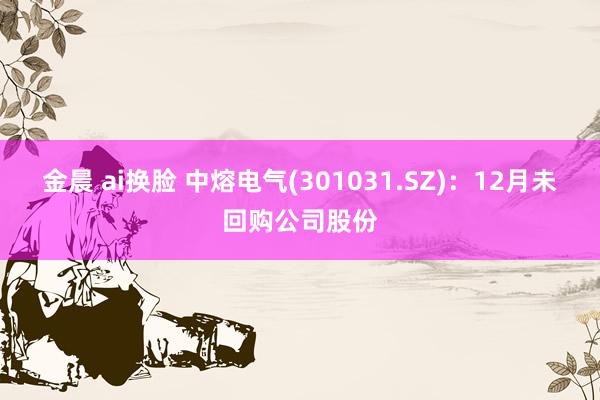 金晨 ai换脸 中熔电气(301031.SZ)：12月未回购公司股份