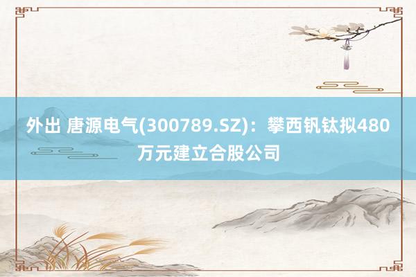 外出 唐源电气(300789.SZ)：攀西钒钛拟480万元建立合股公司