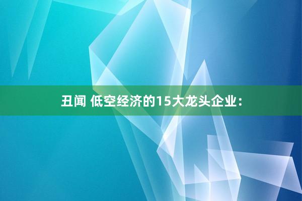 丑闻 低空经济的15大龙头企业：