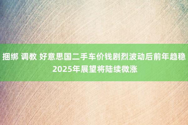 捆绑 调教 好意思国二手车价钱剧烈波动后前年趋稳 2025年展望将陆续微涨