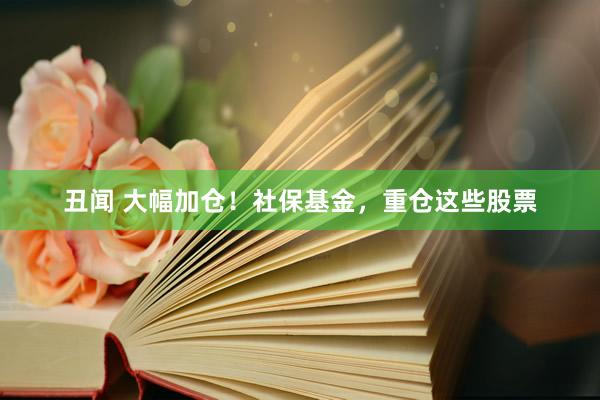 丑闻 大幅加仓！社保基金，重仓这些股票