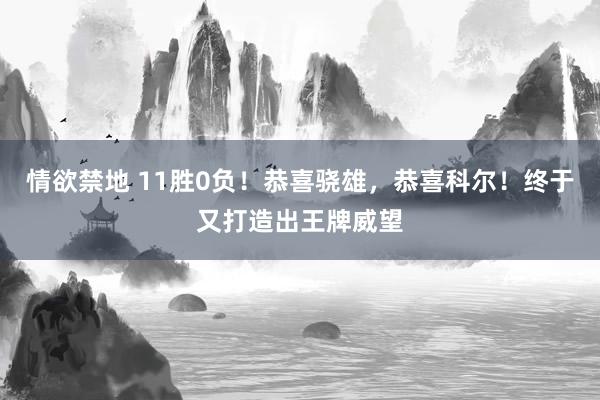 情欲禁地 11胜0负！恭喜骁雄，恭喜科尔！终于又打造出王牌威望