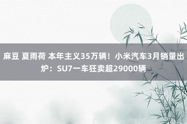 麻豆 夏雨荷 本年主义35万辆！小米汽车3月销量出炉：SU7一车狂卖超29000辆