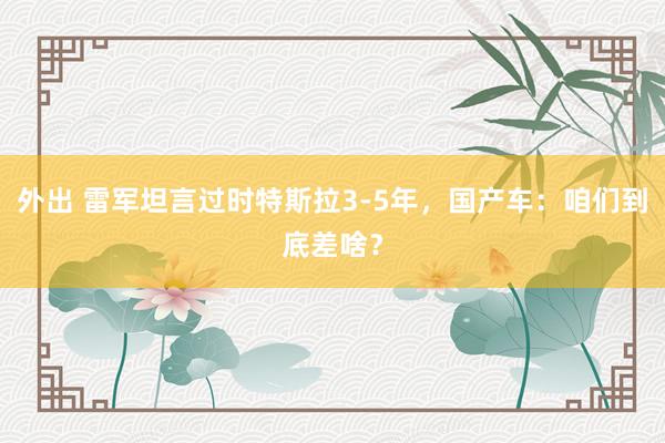 外出 雷军坦言过时特斯拉3-5年，国产车：咱们到底差啥？