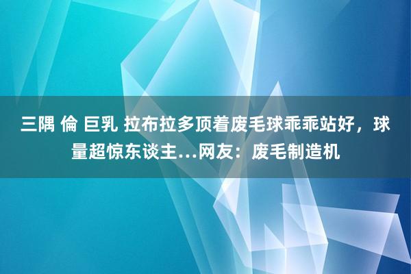三隅 倫 巨乳 拉布拉多顶着废毛球乖乖站好，球量超惊东谈主…网友：废毛制造机
