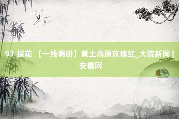91 探花 【一线调研】黄土高原玫瑰红_大皖新闻 | 安徽网
