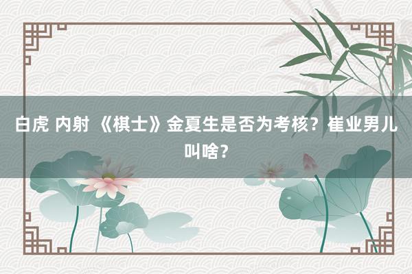 白虎 内射 《棋士》金夏生是否为考核？崔业男儿叫啥？