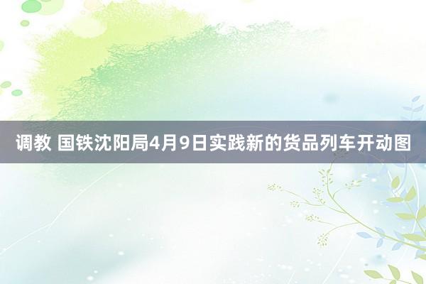 调教 国铁沈阳局4月9日实践新的货品列车开动图