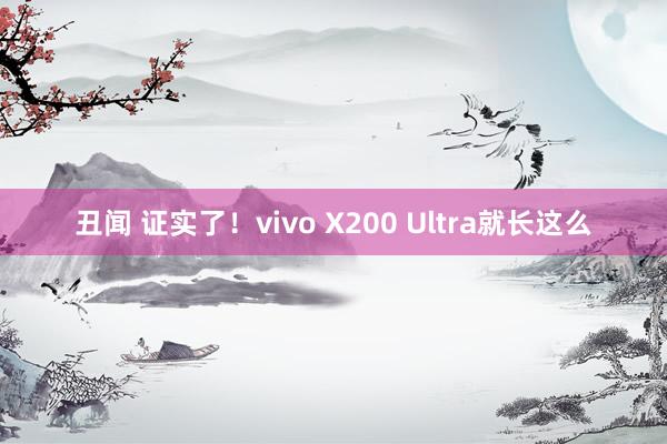 丑闻 证实了！vivo X200 Ultra就长这么