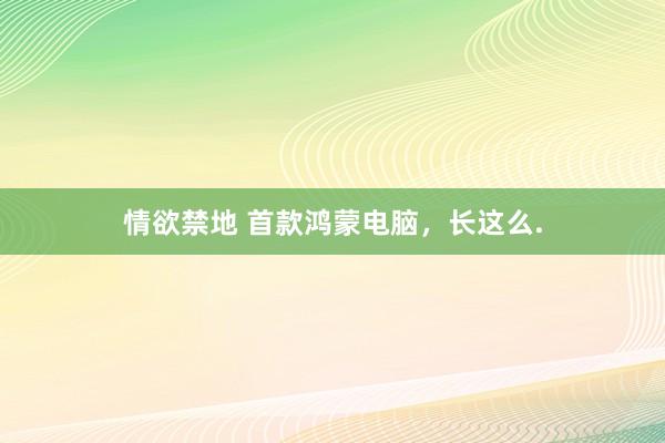 情欲禁地 首款鸿蒙电脑，长这么.