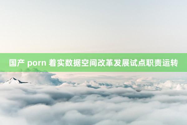 国产 porn 着实数据空间改革发展试点职责运转