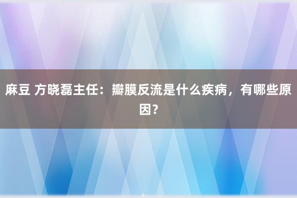 麻豆 方晓磊主任：瓣膜反流是什么疾病，有哪些原因？