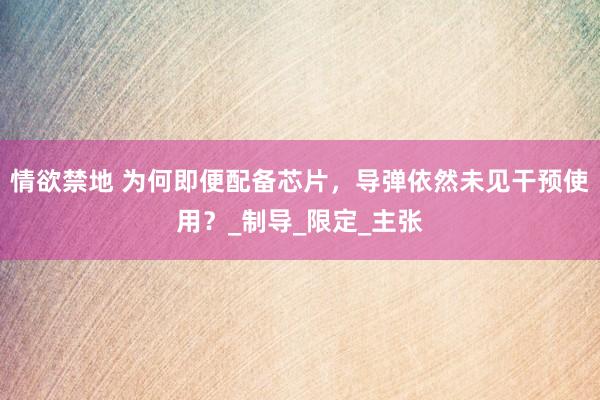 情欲禁地 为何即便配备芯片，导弹依然未见干预使用？_制导_限定_主张