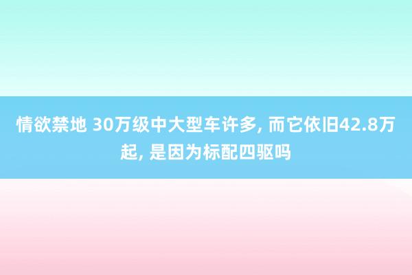 情欲禁地 30万级中大型车许多, 而它依旧42.8万起, 是因为标配四驱吗