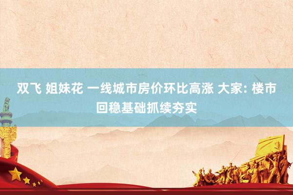 双飞 姐妹花 一线城市房价环比高涨 大家: 楼市回稳基础抓续夯实