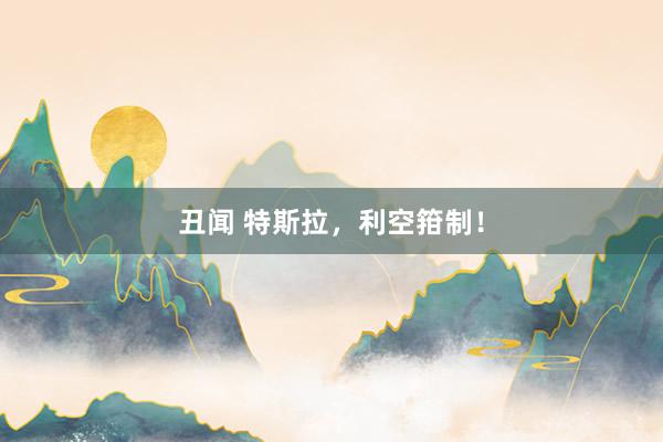 丑闻 特斯拉，利空箝制！