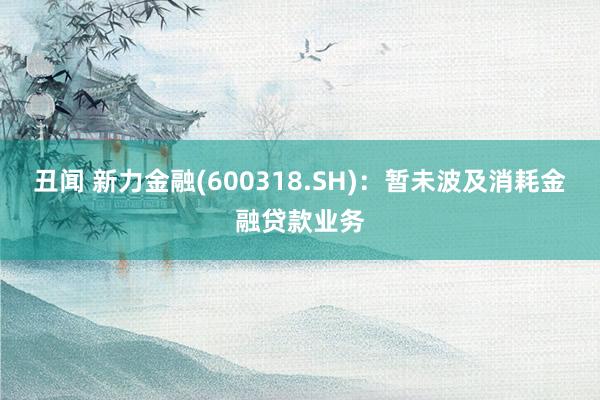 丑闻 新力金融(600318.SH)：暂未波及消耗金融贷款业务