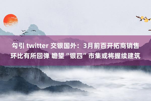 勾引 twitter 交银国外：3月前百开拓商销售环比有所回弹 瞻望“银四”市集或将握续建筑