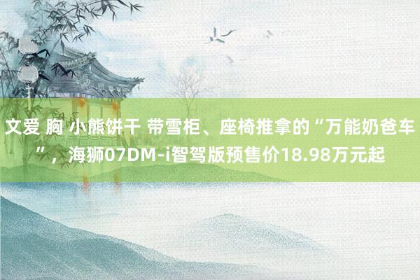 文爱 胸 小熊饼干 带雪柜、座椅推拿的“万能奶爸车”，海狮07DM-i智驾版预售价18.98万元起