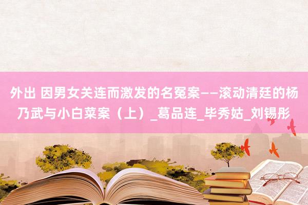 外出 因男女关连而激发的名冤案——滚动清廷的杨乃武与小白菜案（上）_葛品连_毕秀姑_刘锡彤