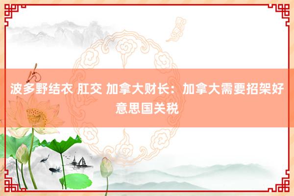 波多野结衣 肛交 加拿大财长：加拿大需要招架好意思国关税